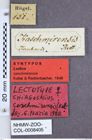 Etikette zu Ludioschema caschmirense (NHMW-ZOO-COL-0008405)
